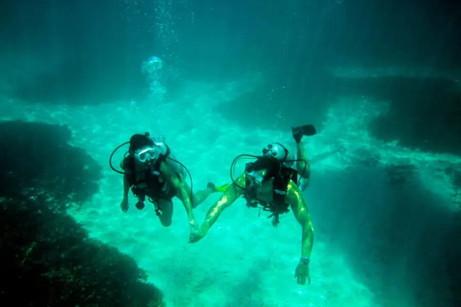 Disfrute de excepcionales inmersiones submarinas en la costa de la Isla Privada Denis.