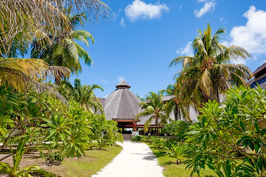 Unas hileras de palmeras le dan la bienvenida al Denis Private Island Lodge. 
