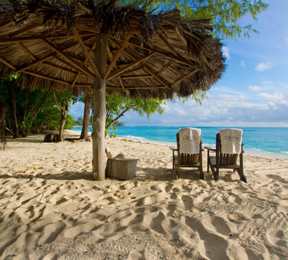 Relax on the beach by Denis Private Island Lodge.