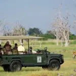 Desert & Delta's game drive vehicles are open-sided to ensure the best photographic opportunities