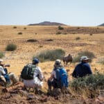 Se ofrecen emocionantes safaris a pie.