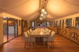Enjoy delicious dinner after a day out in the wild. 