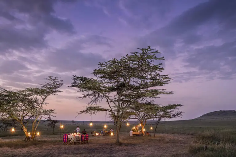 Dine under the stars.
