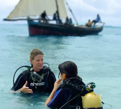 Un equipo de experimentados instructores de buceo está preparado para llevar a los buceadores noveles a vivir la experiencia de su vida.