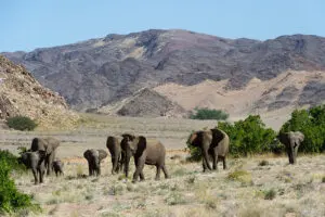 Thrilling game viewing.