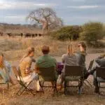 Avistamiento de animales en familia.