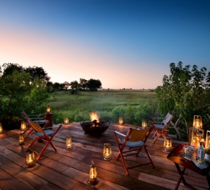 Make your way to the main deck for evening drinks & shared safari stories.