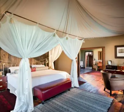 Existem apenas 5 suites no Duba Plains e uma grande suite com 2 quartos com o seu próprio guia, mordomo e chefe de cozinha.