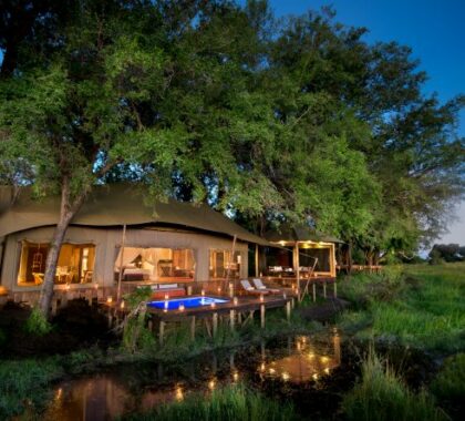 Duba Plains Camp has a classic riverside setting under shady trees; your suite has unfettered Okavango views.