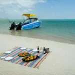 Salga en barco a pasar el día y disfrute de un romántico picnic en una playa desierta de arena blanca.