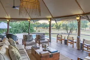 Views of the bush from the lounge. 