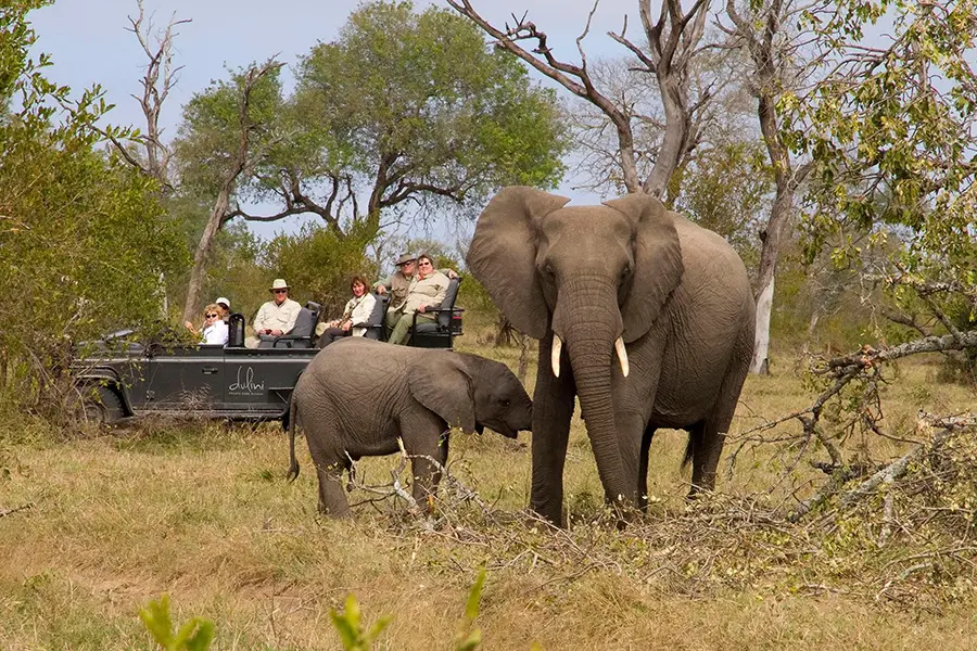 dulini-game-drives-2