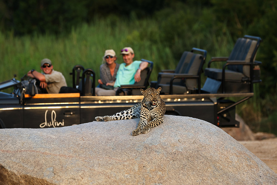 A leopard lying on a boulder faces the camera while a game vehicle with 3 occupants is in the background looking up to the leopard | Go2Africa