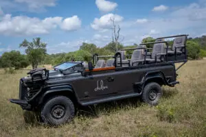 Luxury game viewing vehicles with soft bucket seats. 
