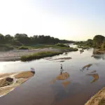 Situado a orillas de un río estacional, ofrece un magnífico avistamiento de animales durante todo el año.