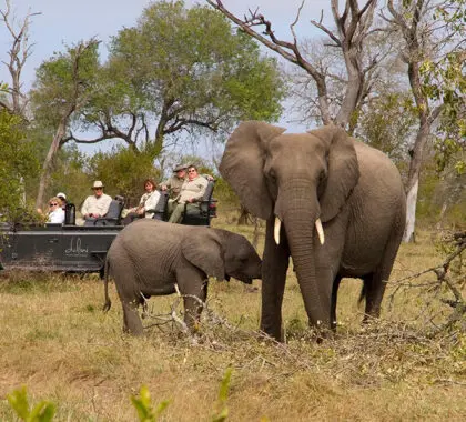 Dulini game drives.