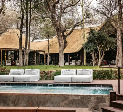 Dulini Moya, a luxury lodge in the renowned Sabi Sands Private Game Reserve. 