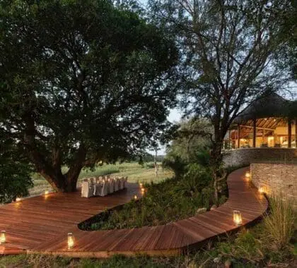 Cena en Dulini River Lodge.