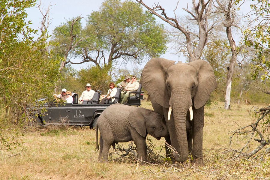 Game Drive at Dulini Moya in Sabi Sand Game Reserve, Kruger Park, South Africa | Go2Africa