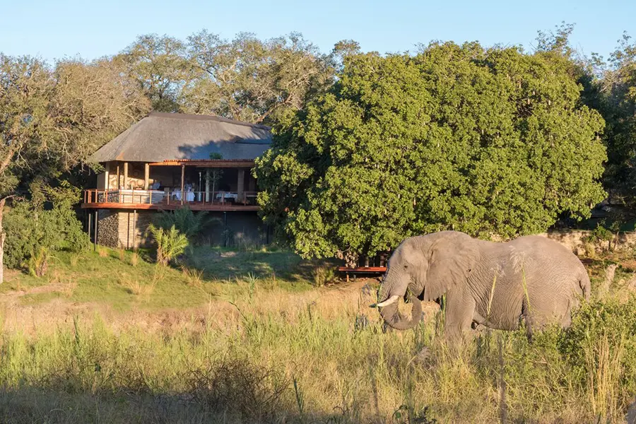 Elefante en el Dulini River Lodge en el Kruger, Sudáfrica | Go2Africa