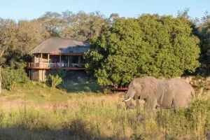 Wildlife may be seen from the main deck.