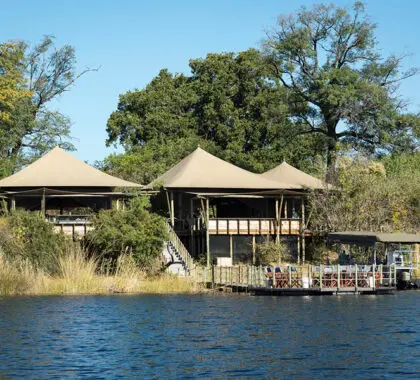 DumaTau se encuentra en la reserva privada Linyanti Game Reserve.
