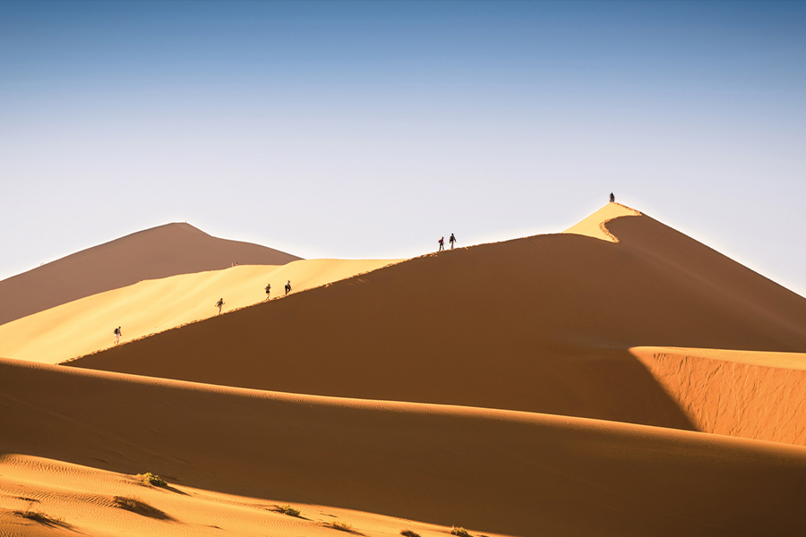 Dunes walk