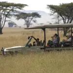 Game drives in the Serengeti.