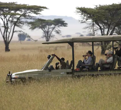 Game drives in the Serengeti.