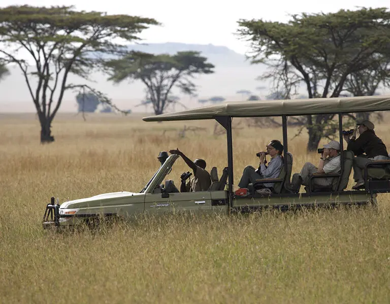 Game drives in the Serengeti.