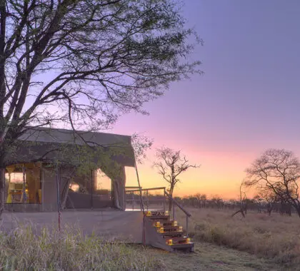 Dunia Camp tent exterior at sunrise. 