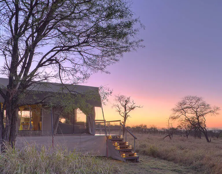 Dunia Camp tent exterior at sunrise. 