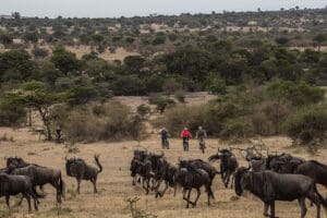 Recorra en bicicleta eléctrica el Maasai Mara, en Kenia.