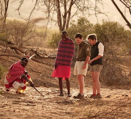 The local Samburu are always willing to share their knowledge and expertise while out on a safari walk.