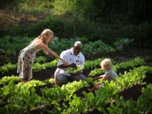 Los campamentos ecológicos suelen tener sus propios huertos: ¡las ensaladas de safari no serán más frescas!