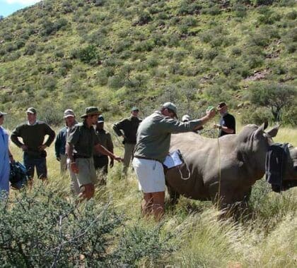 Eco-Holidays in Africa