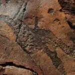 Los viajes ecológicos te animan a reducir la velocidad y contemplar los detalles de África, como este grabado rupestre khoisan.