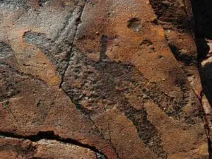 Los viajes ecológicos te animan a reducir la velocidad y contemplar los detalles de África, como este grabado rupestre khoisan.