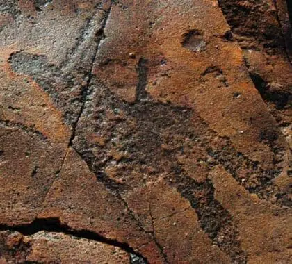 Los viajes ecológicos te animan a reducir la velocidad y contemplar los detalles de África, como este grabado rupestre khoisan.