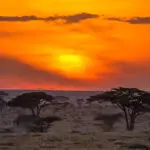 Incredible views of the Serengeti from Namiri Plains lounge.