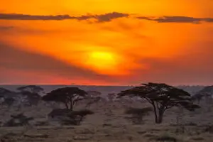 Incredible views of the Serengeti from Namiri Plains lounge.