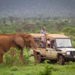 Una experiencia de safari en el corazón de la Reserva Nacional de Samburu.
