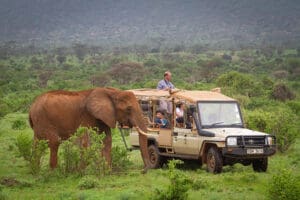 Una experiencia de safari en el corazón de la Reserva Nacional de Samburu.