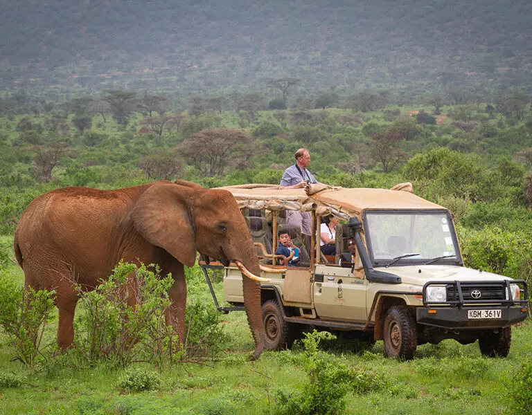 A safari experience in heart of the Samburu National Reserve.