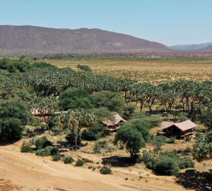 elefante-dormitorio-campamento-samburu_3-banner
