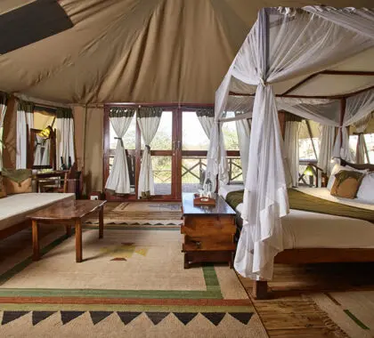 Las tiendas están decoradas en un estilo africano contemporáneo.