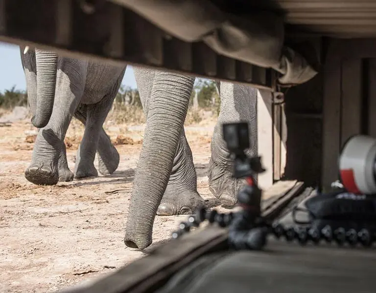 An incredible spot for photography - the underground hide.
