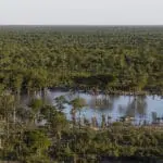 Aerial view of the pan and camp location in the wet season. 
