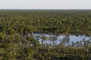 Aerial view of the pan and camp location in the wet season. 