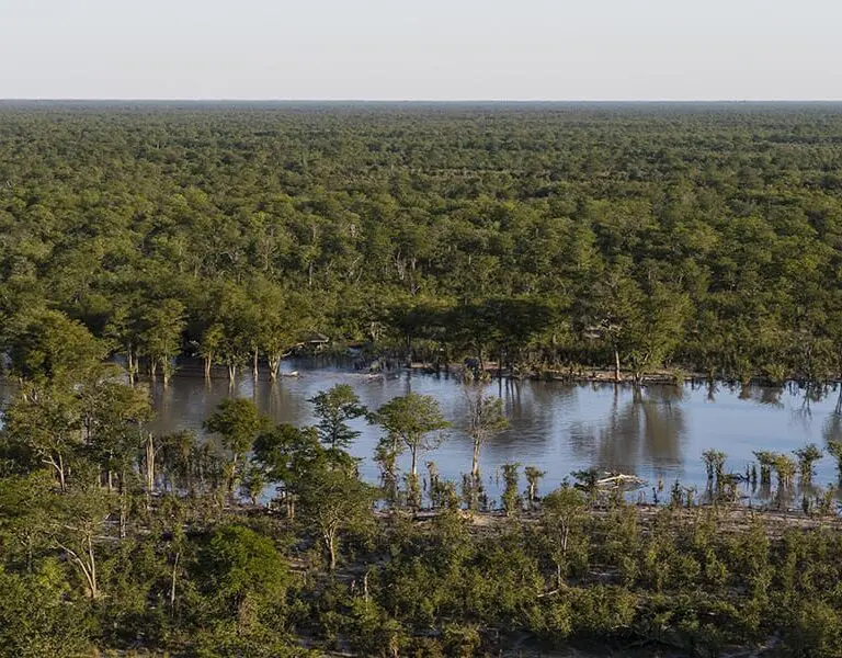 Aerial view of the pan and camp location in the wet season. 